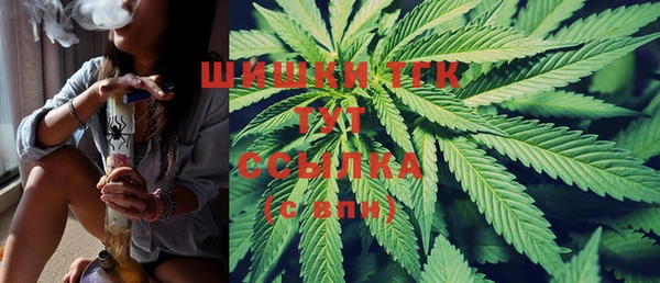 дживик Баксан