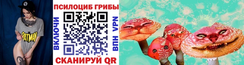 kraken ONION  что такое   Воскресенск  Галлюциногенные грибы прущие грибы 